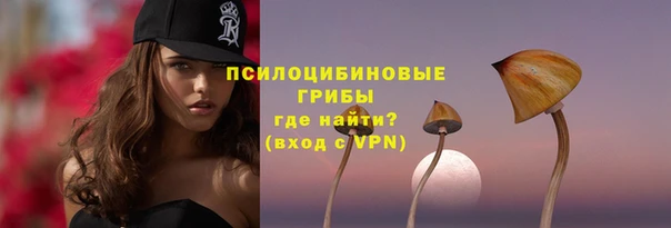 спайс Алексин