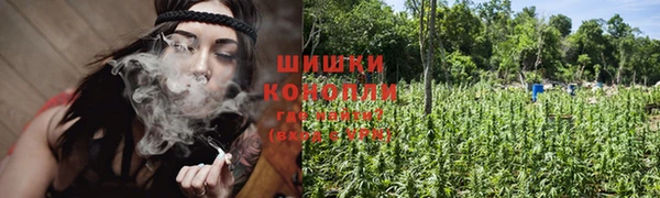 трава Алзамай