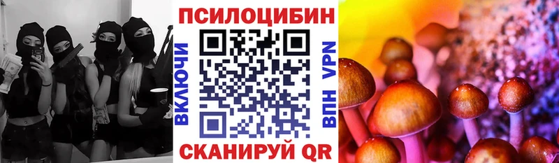 Галлюциногенные грибы GOLDEN TEACHER  Купить где  Смоленск 